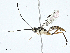  ( - BIOUG99545-E09)  @11 [ ] CreativeCommons - Attribution (2023) CBG Photography Group Centre for Biodiversity Genomics