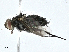  ( - BIOUG99546-G07)  @11 [ ] CreativeCommons - Attribution (2023) CBG Photography Group Centre for Biodiversity Genomics