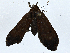  ( - BIOUG99547-B07)  @11 [ ] CreativeCommons - Attribution (2023) CBG Photography Group Centre for Biodiversity Genomics