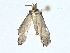  (chryBioLep01 BioLep602 - BIOUG99547-H03)  @13 [ ] CreativeCommons - Attribution (2023) CBG Photography Group Centre for Biodiversity Genomics