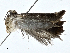  ( - BIOUG99548-A09)  @11 [ ] CreativeCommons - Attribution (2023) CBG Photography Group Centre for Biodiversity Genomics