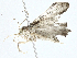  ( - BIOUG99548-C05)  @11 [ ] CreativeCommons - Attribution (2023) CBG Photography Group Centre for Biodiversity Genomics
