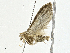  ( - BIOUG99548-E01)  @11 [ ] CreativeCommons - Attribution (2023) CBG Photography Group Centre for Biodiversity Genomics
