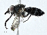  ( - BIOUG99548-G12)  @11 [ ] CreativeCommons - Attribution (2023) CBG Photography Group Centre for Biodiversity Genomics