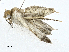  ( - CBG-A00282-B03)  @11 [ ] CreativeCommons - Attribution (2023) CBG Photography Group Centre for Biodiversity Genomics