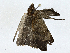  ( - CBG-A00282-F06)  @11 [ ] CreativeCommons - Attribution (2023) CBG Photography Group Centre for Biodiversity Genomics