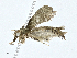  ( - CBG-A00282-G10)  @11 [ ] CreativeCommons - Attribution (2023) CBG Photography Group Centre for Biodiversity Genomics