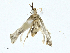  ( - CBG-A00282-H11)  @11 [ ] CreativeCommons - Attribution (2023) CBG Photography Group Centre for Biodiversity Genomics