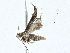  ( - CBG-A00283-A09)  @11 [ ] CreativeCommons - Attribution (2023) CBG Photography Group Centre for Biodiversity Genomics