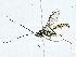  ( - CBG-A00283-E08)  @11 [ ] CreativeCommons - Attribution (2023) CBG Photography Group Centre for Biodiversity Genomics