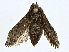  ( - CBG-A00284-A06)  @11 [ ] CreativeCommons - Attribution (2023) CBG Photography Group Centre for Biodiversity Genomics