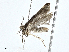  ( - CBG-A00284-D08)  @11 [ ] CreativeCommons - Attribution (2023) CBG Photography Group Centre for Biodiversity Genomics