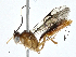 ( - CBG-A00285-C03)  @11 [ ] CreativeCommons - Attribution (2023) CBG Photography Group Centre for Biodiversity Genomics