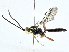  ( - CBG-A00285-C05)  @11 [ ] CreativeCommons - Attribution (2023) CBG Photography Group Centre for Biodiversity Genomics