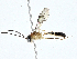 ( - CBG-A00285-D06)  @11 [ ] CreativeCommons - Attribution (2023) CBG Photography Group Centre for Biodiversity Genomics