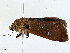  ( - CBG-A00285-E04)  @11 [ ] CreativeCommons - Attribution (2023) CBG Photography Group Centre for Biodiversity Genomics