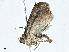  ( - CBG-A00285-F09)  @11 [ ] CreativeCommons - Attribution (2023) CBG Photography Group Centre for Biodiversity Genomics