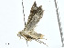 ( - CBG-A00286-A04)  @11 [ ] CreativeCommons - Attribution (2023) CBG Photography Group Centre for Biodiversity Genomics