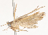  ( - CBG-A51899-A08)  @11 [ ] CreativeCommons - Attribution Share - Alike (2024) CBG Photography Group Centre for Biodiversity Genomics