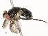  ( - CBG-A51902-C05)  @11 [ ] CreativeCommons - Attribution Share - Alike (2024) CBG Photography Group Centre for Biodiversity Genomics