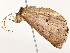 ( - CBG-A51902-G09)  @11 [ ] CreativeCommons - Attribution Share - Alike (2024) CBG Photography Group Centre for Biodiversity Genomics