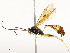  ( - CBG-A51903-B10)  @11 [ ] CreativeCommons - Attribution Share - Alike (2024) CBG Photography Group Centre for Biodiversity Genomics