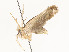  ( - CBG-A51903-E11)  @11 [ ] CreativeCommons - Attribution Share - Alike (2024) CBG Photography Group Centre for Biodiversity Genomics