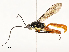  ( - CBG-A53646-D10)  @11 [ ] CreativeCommons - Attribution Share - Alike (2024) CBG Photography Group Centre for Biodiversity Genomics