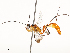  ( - CBG-A53647-G01)  @11 [ ] CreativeCommons - Attribution Share - Alike (2024) CBG Photography Group Centre for Biodiversity Genomics