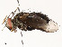  ( - CBG-A53648-A05)  @11 [ ] CreativeCommons - Attribution Share - Alike (2024) CBG Photography Group Centre for Biodiversity Genomics