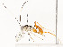  ( - CBG-A53648-B01)  @11 [ ] CreativeCommons - Attribution Share - Alike (2024) CBG Photography Group Centre for Biodiversity Genomics
