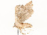  ( - CBG-A53648-B03)  @11 [ ] CreativeCommons - Attribution Share - Alike (2024) CBG Photography Group Centre for Biodiversity Genomics