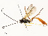  ( - CBG-A53648-D09)  @11 [ ] CreativeCommons - Attribution Share - Alike (2024) CBG Photography Group Centre for Biodiversity Genomics