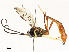  ( - CBG-A53648-D10)  @11 [ ] CreativeCommons - Attribution Share - Alike (2024) CBG Photography Group Centre for Biodiversity Genomics