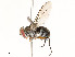  ( - CBG-A53648-E07)  @11 [ ] CreativeCommons - Attribution Share - Alike (2024) CBG Photography Group Centre for Biodiversity Genomics