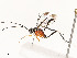  ( - CBG-A53649-G09)  @11 [ ] CreativeCommons - Attribution Share - Alike (2024) CBG Photography Group Centre for Biodiversity Genomics