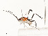  ( - CBG-A53650-B08)  @11 [ ] CreativeCommons - Attribution Share - Alike (2024) CBG Photography Group Centre for Biodiversity Genomics