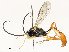  ( - CBG-A53651-E05)  @11 [ ] CreativeCommons - Attribution Share - Alike (2024) CBG Photography Group Centre for Biodiversity Genomics