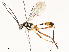  ( - CBG-A54403-E09)  @11 [ ] CreativeCommons - Attribution Share - Alike (2024) CBG Photography Group Centre for Biodiversity Genomics