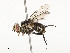  ( - CBG-A54404-B03)  @11 [ ] CreativeCommons - Attribution Share - Alike (2024) CBG Photography Group Centre for Biodiversity Genomics