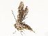  ( - CBG-A54404-C10)  @11 [ ] CreativeCommons - Attribution Share - Alike (2024) CBG Photography Group Centre for Biodiversity Genomics