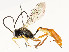  ( - CBG-A54404-D09)  @11 [ ] CreativeCommons - Attribution Share - Alike (2024) CBG Photography Group Centre for Biodiversity Genomics
