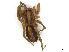  ( - CBG-A54405-H09)  @11 [ ] CreativeCommons - Attribution (2024) CBG Photography Group Centre for Biodiversity Genomics