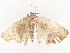  ( - CBG-A58656-A12)  @11 [ ] CreativeCommons - Attribution Share - Alike (2025) CBG Photography Group Centre for Biodiversity Genomics