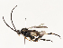  ( - CBG-A59486-A02)  @11 [ ] CreativeCommons - Attribution Share - Alike (2025) CBG Photography Group Centre for Biodiversity Genomics
