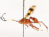  ( - CBG-A53651-H01)  @11 [ ] CreativeCommons - Attribution Share - Alike (2024) CBG Photography Group Centre for Biodiversity Genomics