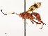  ( - CBG-A53651-H02)  @11 [ ] CreativeCommons - Attribution Share - Alike (2024) CBG Photography Group Centre for Biodiversity Genomics
