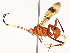  ( - CBG-A53651-H03)  @11 [ ] CreativeCommons - Attribution Share - Alike (2024) CBG Photography Group Centre for Biodiversity Genomics