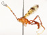  ( - CBG-A53651-H04)  @11 [ ] CreativeCommons - Attribution Share - Alike (2024) CBG Photography Group Centre for Biodiversity Genomics
