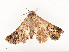  ( - CBG-A53652-F07)  @11 [ ] CreativeCommons - Attribution Share - Alike (2024) CBG Photography Group Centre for Biodiversity Genomics